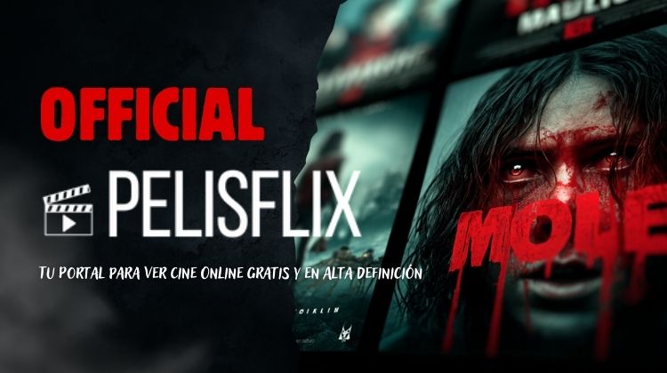 Captura de pantalla de la interfaz principal de Pelisflix mostrando películas populares en HD
